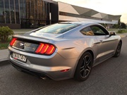 Mustang_rent a car in Minsk
