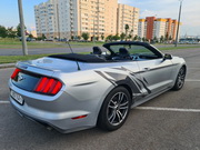 Mustang Cabrio Car Hire in Minsk