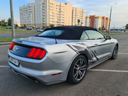 Mustang_rent a car in Minsk