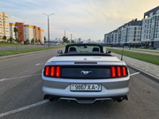 Mustang Cabrio Car Hire in Minsk