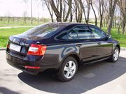 Skoda Octavia for rent in Minsk