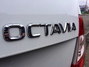 new Octavia 2018 rent in Minsk